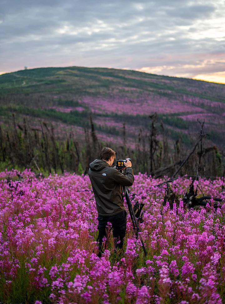 A photographer, Artem Shestakov, in a field of vibrant pink wildflowers, capturing the scenic mountain landscape under a cloudy sky.