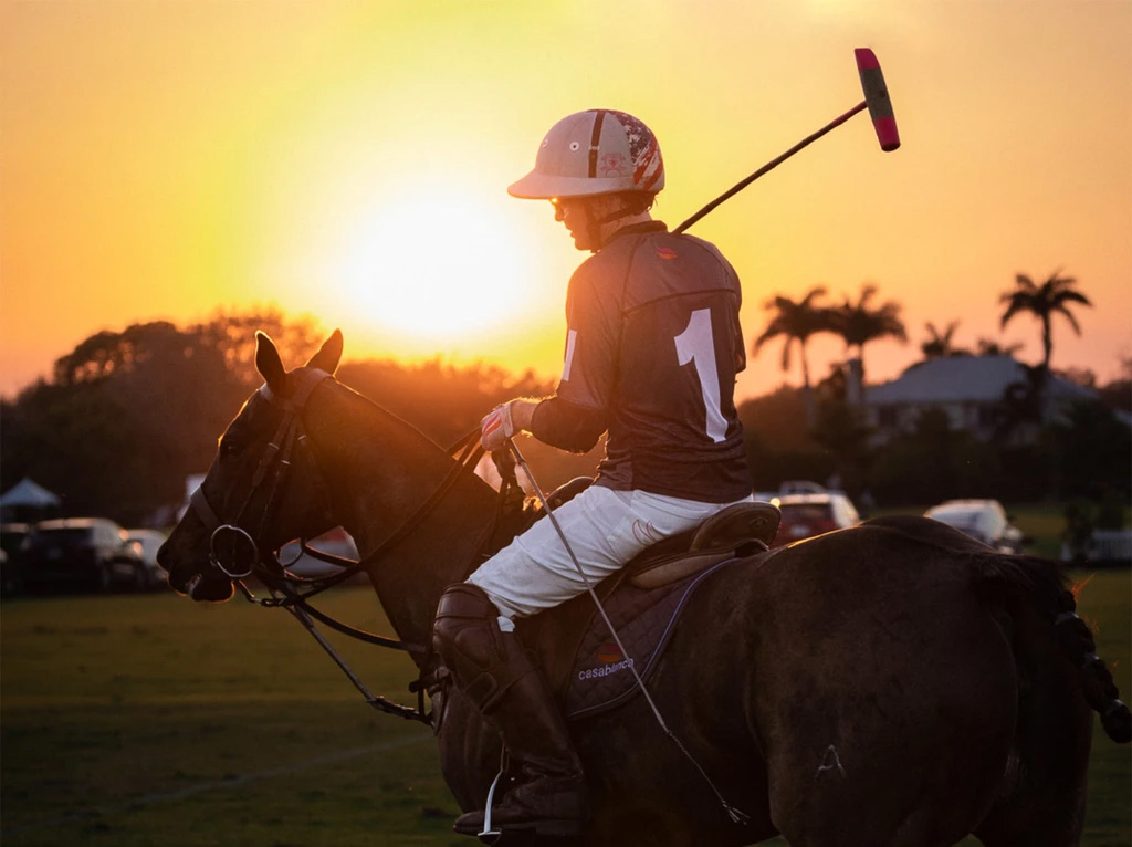 Polo player on horseback silhouetted against a warm Wellington sunset, ready to strike with a mallet, with palm trees and a house in the background.