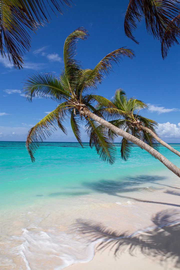 A beautiful tropical beach scene with turquoise water, white sandy shore, and swaying palm trees under a clear blue sky.