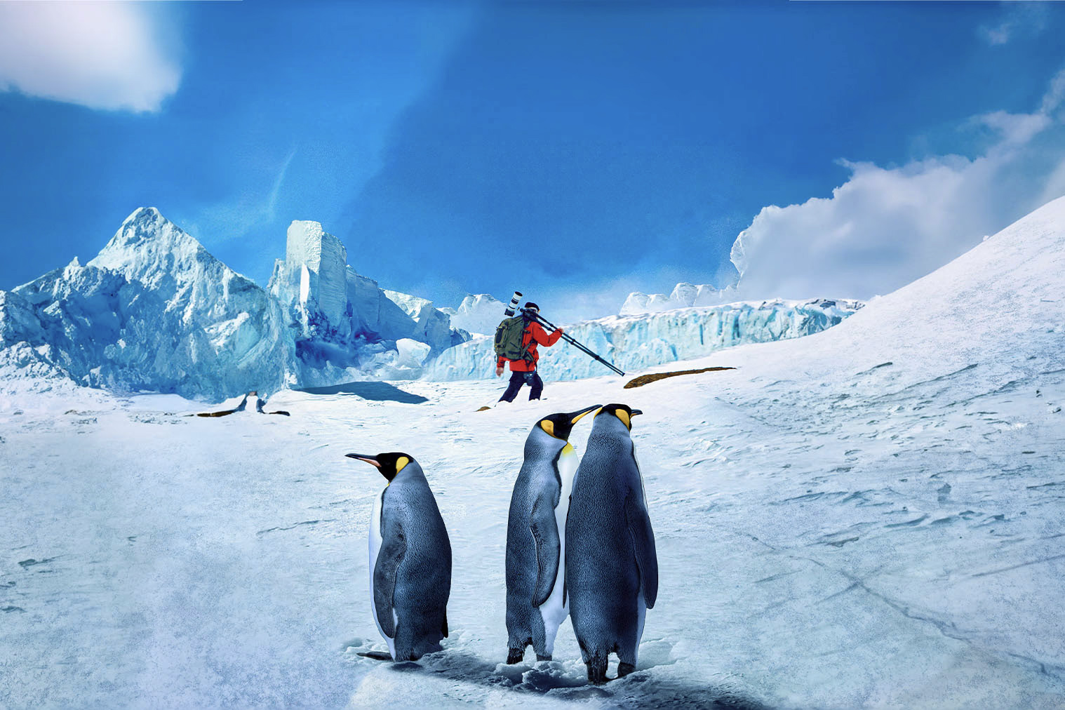 A group of emperor penguins in the foreground with an explorer, Artem Shestakov, in winter gear holding a camera against an icy Antarctic backdrop.