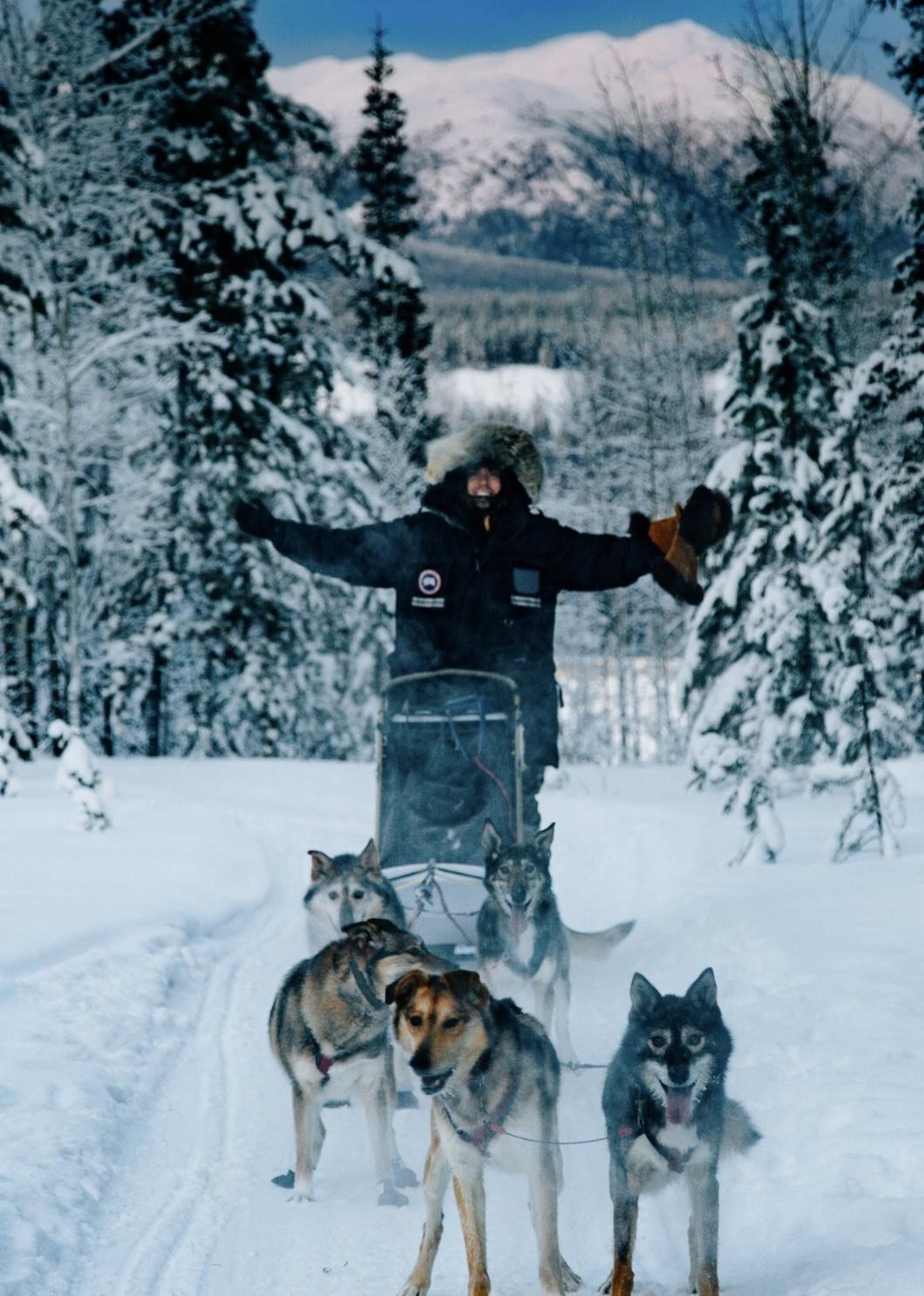 Tristan Hamm, dressed in winter gear leading a dog sled team on a snowy trail with mountains and trees in the background.