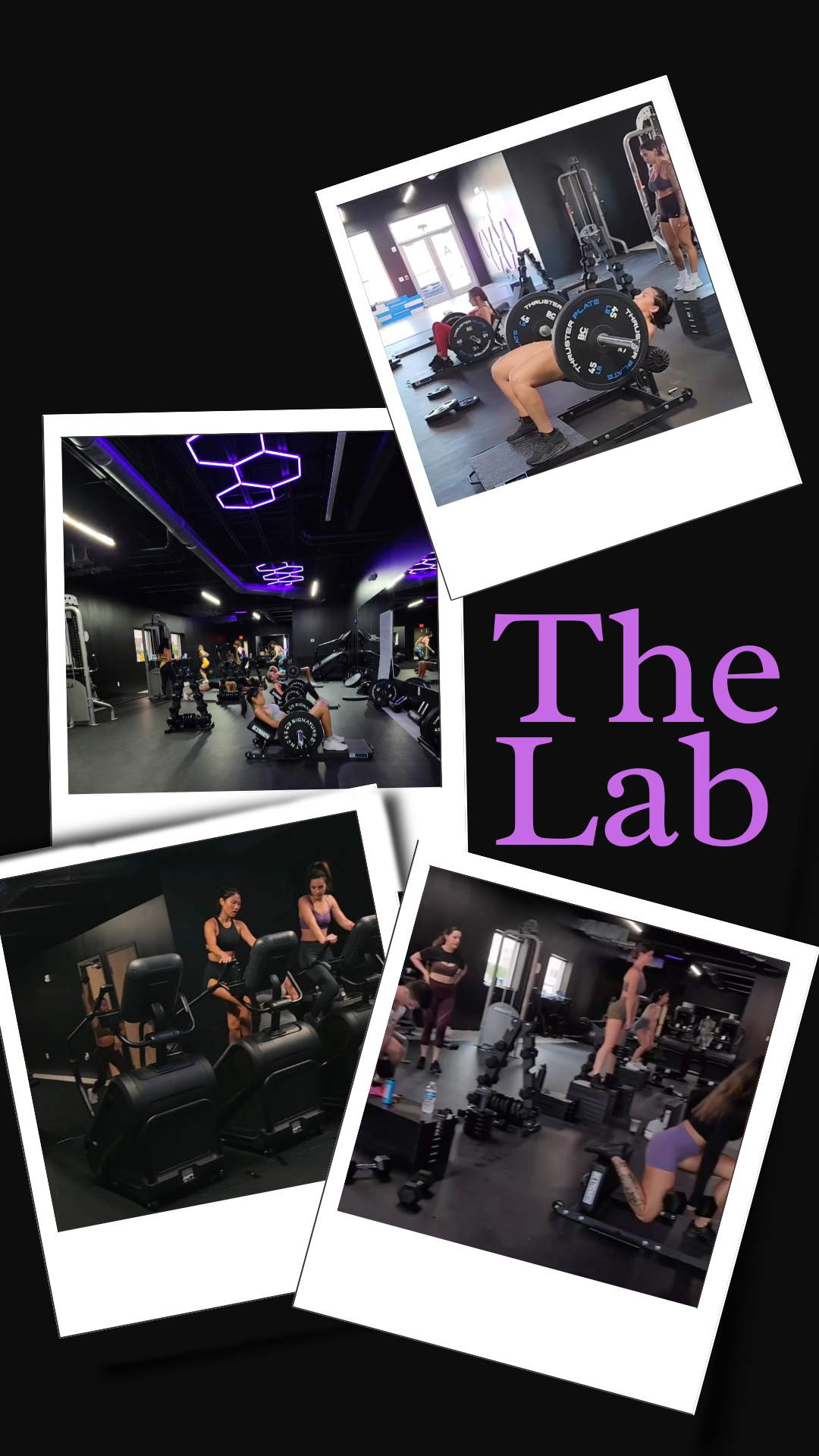 A collage of gym photos from Bikini Body Lab, showing various women engaging in exercises under neon purple lighting and the text "The Lab" displayed prominently, showcasing an energetic and modern gym atmosphere.